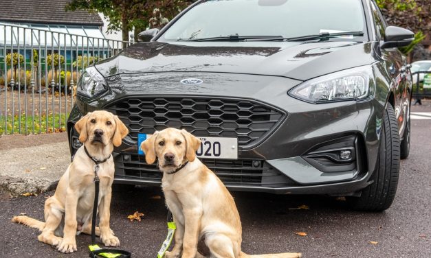 Win a 2020 Ford Focus…And Help A Very Worthwhile Cause In The Process.