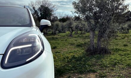 Parts of Your Future Car Could be Made from Olive trees.